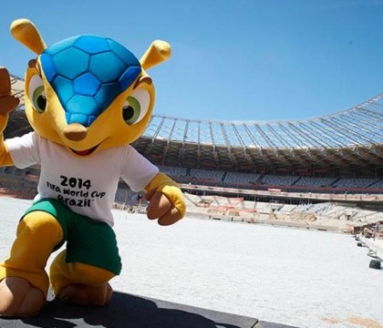 Fuleco, mascota campionatului mondial din Brazilia, o poveste controversata