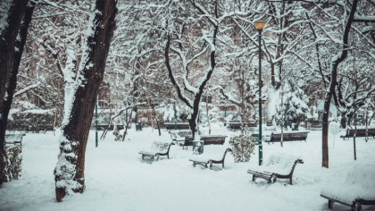 Ninsori si temperaturi de pana la minus 5 grade Celsius in toata tara. Cand se va incalzi. Cum va fi vremea in ziua alegerilor - FOTO Ninsori si temperaturi de pana la minus 5 grade Celsius in toata tara. Cand se va incalzi. Cum va fi vremea in ziua alegerilor - FOTO