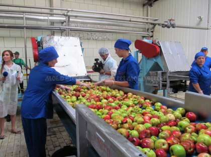 Agricultorii trag alarma! Din 38 de fabrici de procesare a fructelor au mai ramas 6 - Mold-street.com Agricultorii trag alarma! Din 38 de fabrici de procesare a fructelor au mai ramas 6 - Mold-street.com