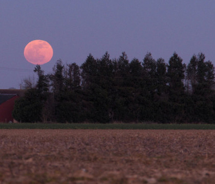 Luna gigantica si de o culoare bizara in noaptea de vineri 13. Nici macar NASA nu are o explicatie