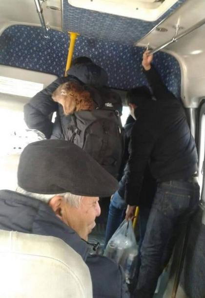 Cu mielul in rucsac. Cum a fost surprins un tanar intr-un microbuz - FOTO Cu mielul in rucsac. Cum a fost surprins un tanar intr-un microbuz - FOTO