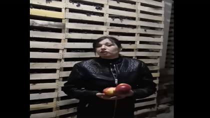 Agricultorii din Moldova se plang ca nu au unde-si vinde roada: "Venim cu un mesaj din suflet. Cumparati de 1 si 8 martie doamnelor 1 kg de mere, in loc de flori" - VIDEO Agricultorii din Moldova se plang ca nu au unde-si vinde roada: "Venim cu un mesaj din suflet. Cumparati de 1 si 8 martie doamnelor 1 kg de mere, in loc de flori" - VIDEO