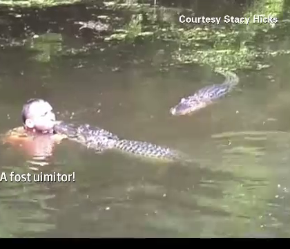 VIDEO. S-a aruncat in apa plina de aligatori, sub privire inmarmurite ale turistilor. Scenele neasteptate care au urmat VIDEO. S-a aruncat in apa plina de aligatori, sub privire inmarmurite ale turistilor. Scenele neasteptate care au urmat