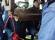 Un barbat a fost gasit mort intr-o fantana din Ciocalteni, Orhei - GALERIE FOTO Un barbat a fost gasit mort intr-o fantana din Ciocalteni, Orhei - GALERIE FOTO