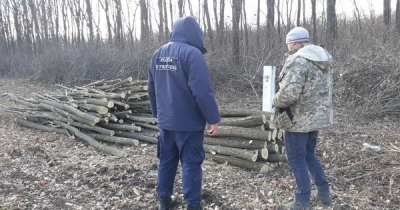 Taia arbori ilegal chiar la locul de munca. Politia a gasit mai multe unelte pentru taierea copacilor cu care un barbat a reusit sa adune o cantitate mare de lemn Taia arbori ilegal chiar la locul de munca. Politia a gasit mai multe unelte pentru taierea copacilor cu care un barbat a reusit sa adune o cantitate mare de lemn