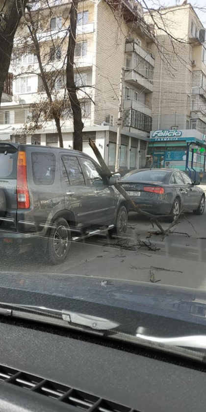 Un BMW a fost avariat dupa ce peste el a cazut un copac doborat de vant - FOTO