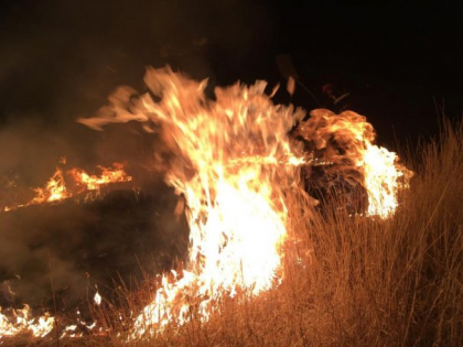98 de incendii de vegetatie uscata au avut de stins pompierii in ultimele 24 de ore. Cele mai multe hectare de teren au ars in orasul Sangera - VIDEO
