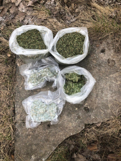 Trei persoane, retinute pentru ca vindeau marihuana si etnobotanice in valoare de 200 de mii de lei la Chisinau. Cum au fost prinse - FOTO