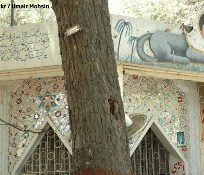 Om deghizat in vulpe, inchis in cusca la gradina zoologica din Pakistan. "Este o creatura mitologica". VIDEO Om deghizat in vulpe, inchis in cusca la gradina zoologica din Pakistan. "Este o creatura mitologica". VIDEO