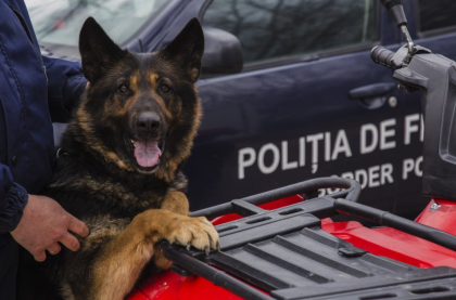 Patrupeda Rada de la Politia de Frontiera a gasit pe urme fierbinti un infractor in raionul Glodeni. Cainele i-a dus pe politisti chiar in ograda faptasului Patrupeda Rada de la Politia de Frontiera a gasit pe urme fierbinti un infractor in raionul Glodeni. Cainele i-a dus pe politisti chiar in ograda faptasului