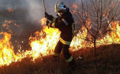In ultimele 24 de ore, pompierii au stins 98 de incendii de vegetatie. Anul acesta, 6500 de hectare de teren au fost mistuite de flacari 