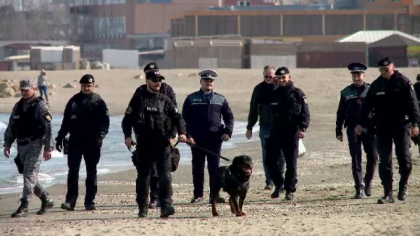 Cocaina in Marea Neagra. Noi cautari, dupa ce coletele cu droguri au ajuns si in Mamaia Cocaina in Marea Neagra. Noi cautari, dupa ce coletele cu droguri au ajuns si in Mamaia