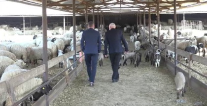 Un nou tip de afacere devine din ce in ce mai popular in Romania: "E mult mai usor" Un nou tip de afacere devine din ce in ce mai popular in Romania: "E mult mai usor"