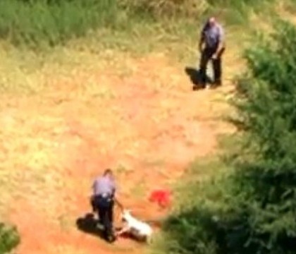 Un caine loial refuza sa plece de langa stapanul mort si sta intr-o caldura de 40 de grade Celsius. VIDEO Un caine loial refuza sa plece de langa stapanul mort si sta intr-o caldura de 40 de grade Celsius. VIDEO