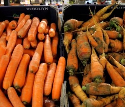 Strategie de marketing. Cum si-a convins un magazin clientii sa cumpere morcovii din partea dreapta a imaginii, fara reduceri Strategie de marketing. Cum si-a convins un magazin clientii sa cumpere morcovii din partea dreapta a imaginii, fara reduceri