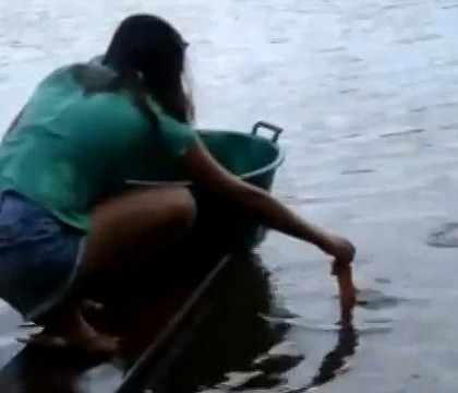 Curaj sau inconstienta? Tanara care prinde piranha cu mainile goale Curaj sau inconstienta? Tanara care prinde piranha cu mainile goale