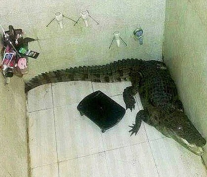 Un indian a incremenit cand a intrat in baie. Descoperirea inspaimantatoare pe care a facut-o Un indian a incremenit cand a intrat in baie. Descoperirea inspaimantatoare pe care a facut-o