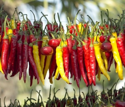 Ce se intampla in corpul tau atunci cand mananci ardei iuti. Efectul este miraculos Ce se intampla in corpul tau atunci cand mananci ardei iuti. Efectul este miraculos