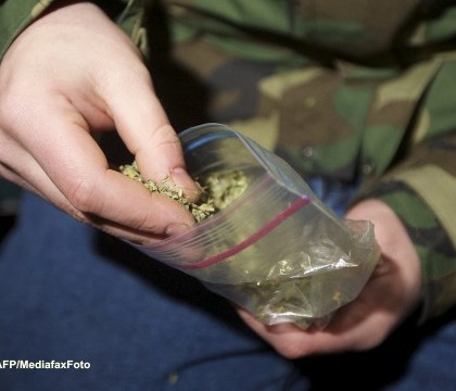 Un raport oficial al ONU dezvaluie tarile in care populatia consuma cel mai mult marijuana Un raport oficial al ONU dezvaluie tarile in care populatia consuma cel mai mult marijuana