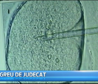 Unei femei i-au fost implantati embrionii altui cuplu. La cine au ramas, intr-un final, copiii gemeni Unei femei i-au fost implantati embrionii altui cuplu. La cine au ramas, intr-un final, copiii gemeni