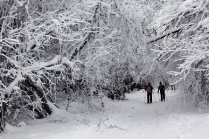 Va ninge in toata tara. Prognozele meteorologilor pentru urmatoarele zile
