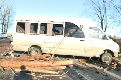 Un copac putred s-a prabusit peste un microbuz de ruta. S-a intamplat in apropiere de Cojusna