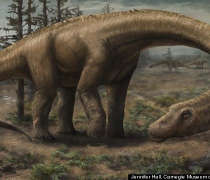 Cea mai mare creatura care a calcat vreodata pe Pamant. Un nou tip de dinozaur, descoperit in Argentina Cea mai mare creatura care a calcat vreodata pe Pamant. Un nou tip de dinozaur, descoperit in Argentina