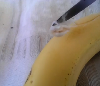 Momente de groaza pentru o britanica. Ce a descoperit in bananele cumparate de la supermarket Momente de groaza pentru o britanica. Ce a descoperit in bananele cumparate de la supermarket