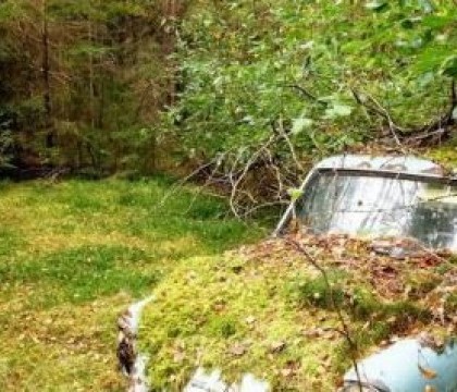 Un finlandez a plecat sa-si caute masina abandonata intr-o padure, in 1974. Cum a gasit-o dupa 40 de ani Un finlandez a plecat sa-si caute masina abandonata intr-o padure, in 1974. Cum a gasit-o dupa 40 de ani