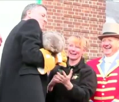Primarul New York-ului, aratat cu degetul pentru moartea unei... celebre marmote. Bill de Blasio a scapat-o din brate Primarul New York-ului, aratat cu degetul pentru moartea unei... celebre marmote. Bill de Blasio a scapat-o din brate
