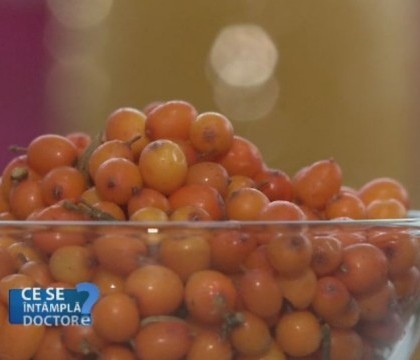 Efectele miraculoase ale catinei asupra organismului. De ce e bine sa o consumam in sezonul rece