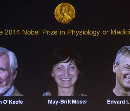 PREMIUL NOBEL pentru MEDICINA acordat in 2014 lui John O\'Keefe, Edvard Moser si May-Britt pentru descoperirea GPS-ului intern