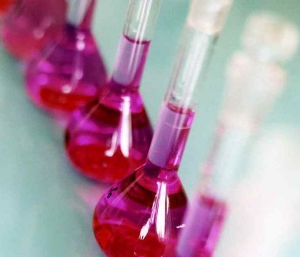 PREMIUL NOBEL pentru CHIMIE pe 2014, atribuit lui Eric Betzig, William E. Moerner si Stefan W. Hell PREMIUL NOBEL pentru CHIMIE pe 2014, atribuit lui Eric Betzig, William E. Moerner si Stefan W. Hell