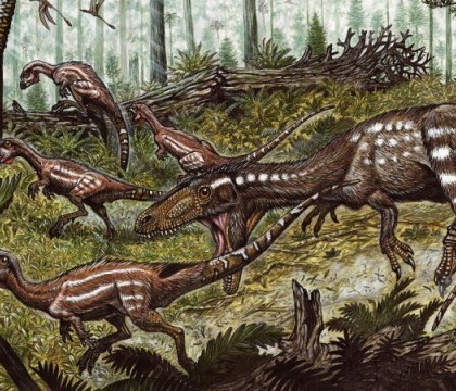 O specie de dinozaur carnivor, stramos al lui Tyrannosaurus Rex, a fost descoperita in Venezuela