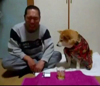 Reactia unui caine atunci cand stapanul sau duce paharul cu alcool la gura. VIDEO Reactia unui caine atunci cand stapanul sau duce paharul cu alcool la gura. VIDEO