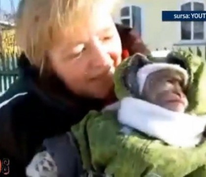 VIDEO. Imaginile care s-au viralizat instant. Reactia unei maimute cand vede zapada pentru prima data