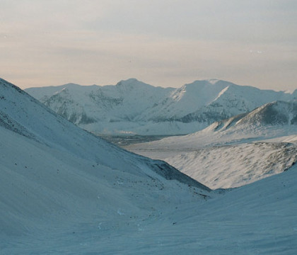 Au facut necropsia unui bizon de 9.300 de ani perfect conservat in Siberia. Ce au descoperit oamenii de stiinta e uimitor