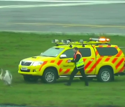 Motivul incredibil care a dus la decolarea intarziata a 20 de avioane. Incidentul a avut loc pe Aeroportul Heathrow Motivul incredibil care a dus la decolarea intarziata a 20 de avioane. Incidentul a avut loc pe Aeroportul Heathrow