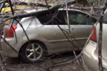 Atentie unde parcati masinile! Mai multe automobile, ZDROBITE de copacii cazuti. VIDEO Atentie unde parcati masinile! Mai multe automobile, ZDROBITE de copacii cazuti. VIDEO