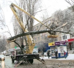Peste 268 de copaci au fost doborati in capitala. Cei de la Spatii Verzi abia fac fata situatiei Peste 268 de copaci au fost doborati in capitala. Cei de la Spatii Verzi abia fac fata situatiei