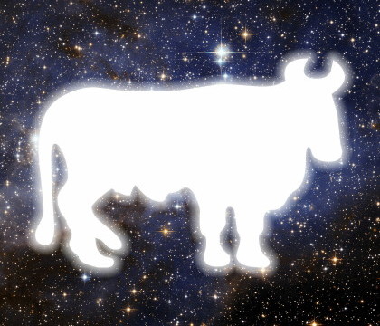 HOROSCOP 2015. Neti Sandu prezinta previziunile pe 2015 pentru cei nascuti in zodia Taur