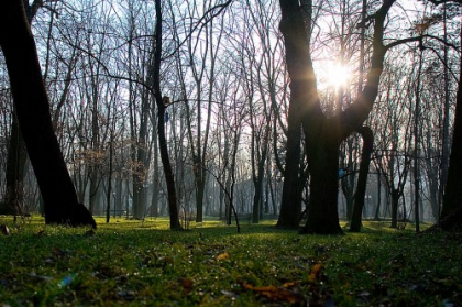 Primavara isi intra in drepturi. Cum va fi vremea pe intai martie