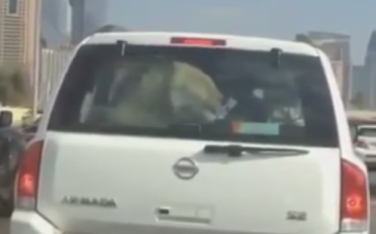 Isi plimba leul cu masina. Vezi isprava unui sofer din Dubai. VIDEO Isi plimba leul cu masina. Vezi isprava unui sofer din Dubai. VIDEO