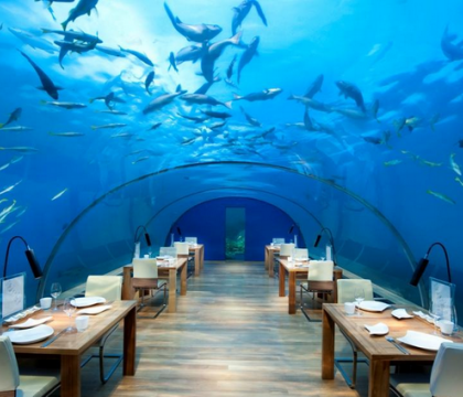 Cele mai ciudate si apreciate zece restaurante din lume. Cum arata localul submarin din Maldive