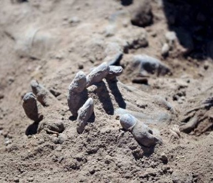 Cadavrele a 1.700 de soldati irakieni ucisi de Statul Islamic, in 12 gropi comune descoperite la Tikrit. VIDEO Cadavrele a 1.700 de soldati irakieni ucisi de Statul Islamic, in 12 gropi comune descoperite la Tikrit. VIDEO