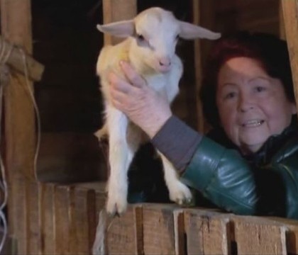 Efectul interzicerii importurilor in Rusia. Populatia s-a apucat de agricultura si se declara mai multumita decat inainte Efectul interzicerii importurilor in Rusia. Populatia s-a apucat de agricultura si se declara mai multumita decat inainte