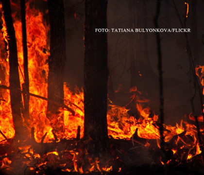 Incendiile uriase din Rusia au consecinte neasteptate in America. Ce s-a intamplat in Seattle din cauza curentilor de aer Incendiile uriase din Rusia au consecinte neasteptate in America. Ce s-a intamplat in Seattle din cauza curentilor de aer