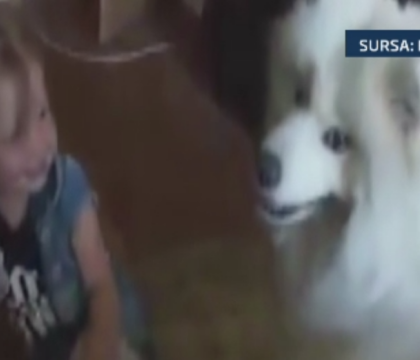 Moment de tandrete intre o fetita si catelul familiei sale. Cum reactioneaza micuta cand animalul o atinge cu botul