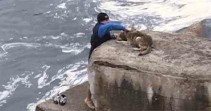 Vei fi impresionat pana la lacrimi! Un caine a fost salvat din apele reci ale unui rau. Reactia maidanezului e incredibila