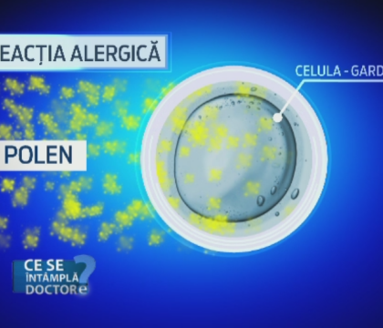 Tuse sau astma? Medicii explica diferenta si avertizeaza asupra alergiilor respiratorii Tuse sau astma? Medicii explica diferenta si avertizeaza asupra alergiilor respiratorii
